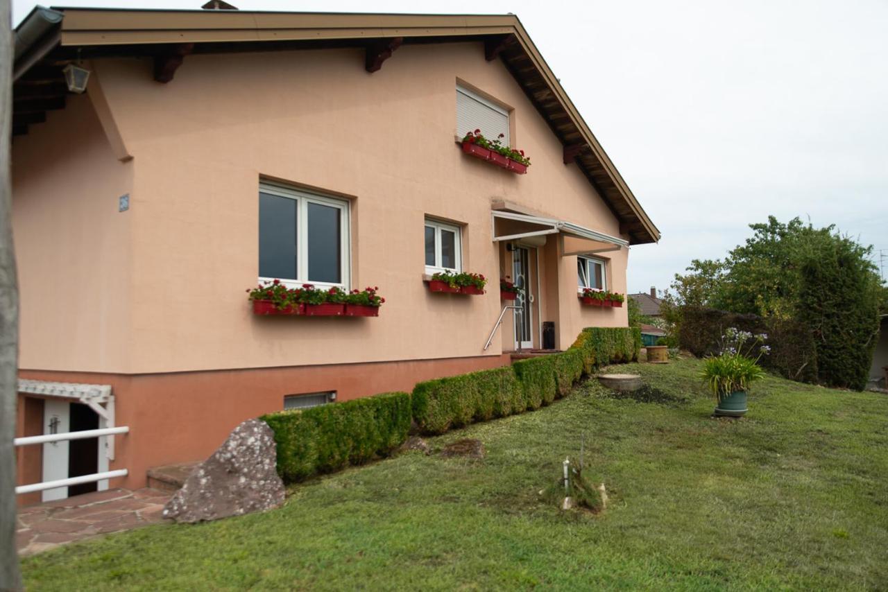 Staffelfelden Gite Au Coeur De L'Alsace Maison Gatsby מראה חיצוני תמונה